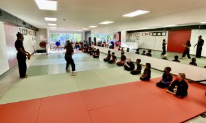Read more about the article The Best Youth Martial Arts Program in Washington DC